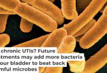 Certain strains of E. coli can outcompete disease-causing microbes for resources. NIAID/Flickr, CC BY-SA